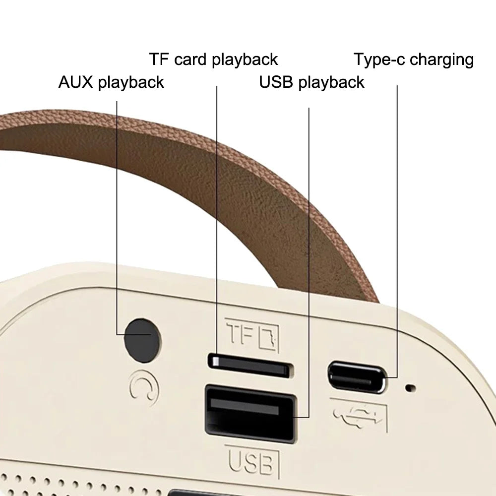 Bluetooth Wireless Portable Speaker Multi-function Karaoke with 1-2 Microphone Music Player Karaoke Machine For Kids Adults